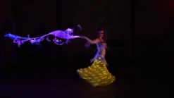 EmazingLights FiberFlies PixelWhip V4