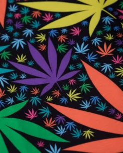 INTO THE AM Neon Trees Tee